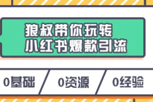 《狼叔带你玩转小红书爆款引流》[MP4][874.09MB]][百度网盘下载]