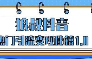 《狼叔抖音热门引流变现秘籍1.0》[MP4][252.03MB]][百度网盘下载]