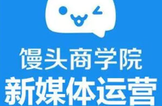 《馒头新媒体运营视频课程》[MP4][6.09GB]][百度网盘下载]