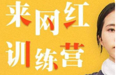 《网红训练营：超级IP打造计划》[MP3][773.96MB]][百度网盘下载]