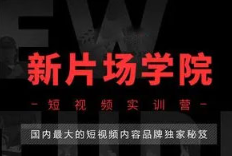 《新片场抖音实战训练营线上班》[MP4][14.37GB]][百度网盘下载]