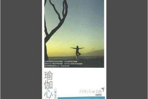 [2007][内地][群星]《瑜伽心境界》4CD_APE+CUE_318.5MB[百度网盘下载]