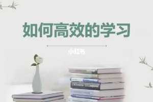 谢华《超脑力高效学习法》视频课程[WMV/RM][4.07GB][百度网盘下载]