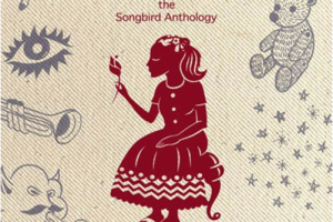 [2011][香港][王菀之]《The Songbird Anthology 新歌+精选2CD》FLAC_BD_450MB[百度网盘下载]