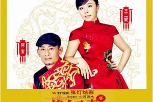 [2013][阿宝&王二妮]《皆大欢喜》 WAV_整轨_314.9MB[百度网盘下载]
