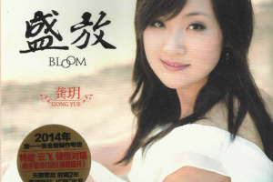 [2014][龚玥]《盛放 DSD》WAV_CUE_329.8MB[百度网盘下载]