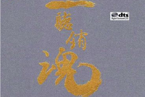 [2016][内地][群星]《一听销魂 十大发烧女声 男声》DTS-WAV_分轨_559.7MB[百度网盘下载]