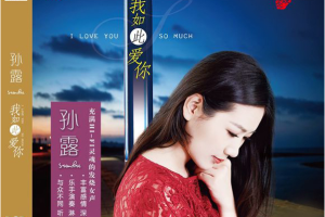 [2016][香港][孙露]《我如此爱你DSD》WAV_CUE_380.5MB[百度网盘下载]
