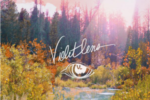 [2017][内地][Violet Lens 绀]《天堂鸟与金鱼草》FLAC_分轨_203.7MB[百度网盘下载]