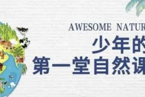 《少年的第一堂自然课》全12集[MP4][1.09GB][百度网盘下载]