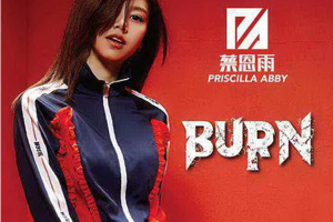 [2017][内地][蔡恩雨]《Burn》WAV分轨_168.4MB[百度网盘下载]