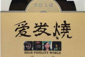 [2017][内地][群星]《爱发烧 HIFI体验》2CD_DTS-WAV分轨_610.3MB[百度网盘下载]