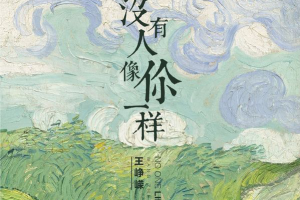 [2017][内地][王峥嵘]《没有人像你一样》FLAC_分轨_315.7MB[百度网盘下载]