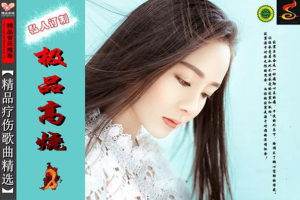 [2017][群星]《极品高烧(2)》[FLAC+CUE_638.8MB[百度网盘下载]