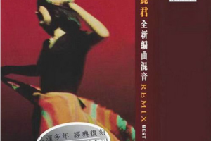 [2017][香港][邓丽君]《全新编曲混音REMIX》DTS-WAV_分轨_478.9MB[百度网盘下载]