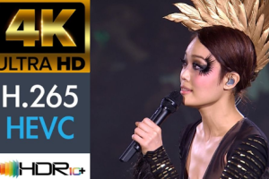 香港演唱会[容祖儿 JOEY YUNG Concert Number演唱会2010][4DVD-ISO][12.32G][百度网盘下载]