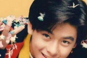 香港演唱会[林志颖1993红馆演唱会][DVD-ISO][2.25G+2.69G][百度网盘下载]