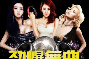 [2018][内地][群星]《2018最新好听DJ舞曲精选12》WAV_分轨_699.6MB[百度网盘下载]