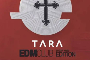 音乐专辑[EDM Club Sugar Free Edition]18首[T-ara组合]音频合集[百度网盘下载]