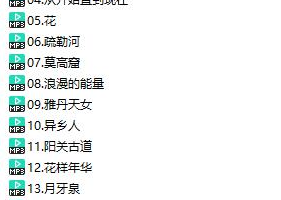 女子十二乐坊精选16首演奏曲目[百度网盘下载]资源[MP3166.68MB]