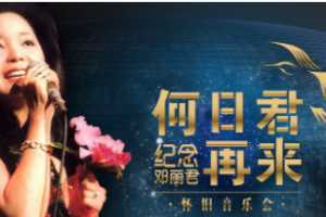 台湾演唱会[邓丽君 [何日君再来][邓丽君10年祭A+B][DVD-ISO镜像][7.8GB][百度网盘下载]