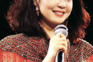 台湾演唱会[邓丽君 十亿个掌声 LD转制视听版][DVD ISO][5.65G][百度网盘下载]