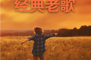 经典老歌[180首合集][MP3压缩包1.72GB][百度网盘下载]