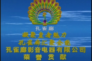 台湾演唱会[自购 周华健 1995天下有情人演唱会][DVD-ISO][3.63G][百度网盘下载]