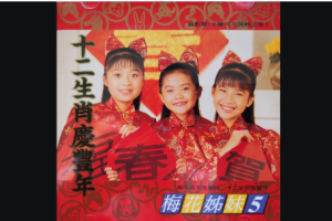 台湾演唱会[梅花三姐妹演唱会5][梅花姐妹贺新年-生肖新年专辑][DVD-ISO][1.94G][百度网盘下载]