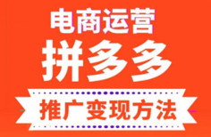 《电商运营之拼多多推广变现方法》【完结】[MP3/299.03MB]][百度网盘下载]