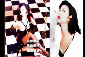 音乐专辑碟[叶玉卿 – 挡不住的风情B 卡拉OK][DVD ISO][2.84G][百度网盘下载]