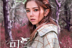 G.E.M/邓紫棋专辑所有歌曲合集-18张专辑无损歌曲打包[百度网盘下载]