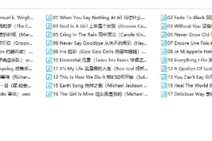 《全球最值得听的英文歌》[2.05GB][百度网盘下载]