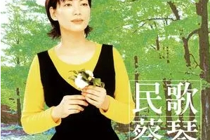 [歌曲合集]《蔡琴专辑精选》[民歌8张专辑无损音乐][百度网盘下载]