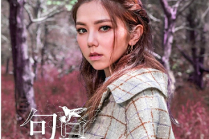 [歌曲合集]《G.E.M/邓紫棋专辑所有》[18张专辑无损歌曲打包][百度网盘下载]
