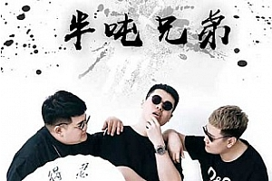 《半吨兄弟》298首歌曲合集[FLACMP33.08GB][百度网盘下载]