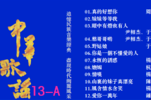 音乐专辑碟[群星 – 中华歌谣13][KTV][2DVD-NRG5.75G+6.35G][百度网盘下载]