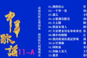 音乐专辑碟[群星 – 中华歌谣11][KTV][2DVD-NRG6.51G+6.35G][百度网盘下载]
