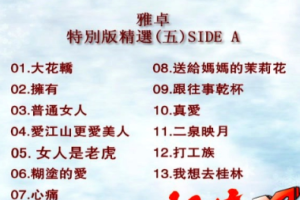 音乐专辑碟[群星 – 雅卓5][LD转DVD][KTV][2DVD-NRG][3.81G+4.03G][百度网盘下载]