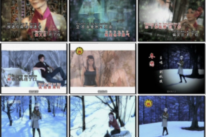 音乐专辑碟[刘秋仪 – 冬恋][KTV][2DVDISO][3.09G+3.17G][百度网盘下载]