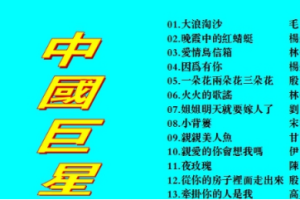 音乐专辑碟[群星 – 中国巨星][KTV][2DVD-NRG6.34G+6.13G][百度网盘下载]