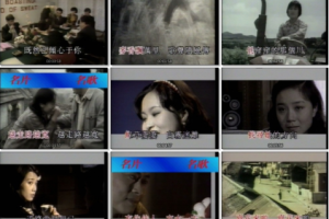 音乐专辑碟[群星 – 中华名片名歌2][DVDISO4.24G+4.25G][百度网盘下载]