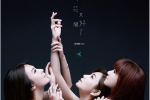 音乐专辑碟[S.H.E 花又开好了 影音馆内地版][2DVD ISO][2.58G+4.04G][百度网盘下载]