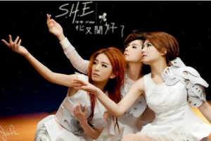 音乐专辑碟[S.H.E 花又开好了 影音馆台版][2DVD ISO][2.93G+5G][百度网盘下载]