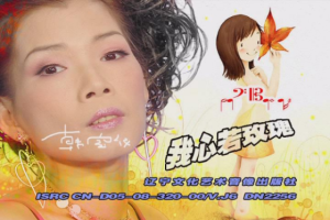 音乐专辑碟[韩宝仪 – 我心若玫瑰][KTV][DVD-ISO2.95G][百度网盘下载]