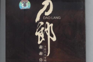 音乐专辑碟[刀郎 – 谢谢你.九雨天下赠送碟][DVD ISO][3.02GB][百度网盘下载]