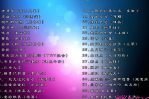 音乐专辑碟[华语现场MV合集][DVD ISO][3.82G][百度网盘下载]