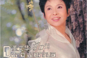 音乐专辑碟[董文华 – 池中萍][DVD ISO][3.67G][百度网盘下载]