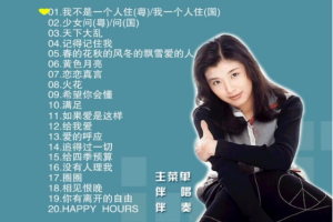 音乐专辑碟[苏慧伦 – 滚石原装MTV卡拉OK系列2][DVDISO][3.61G][百度网盘下载]