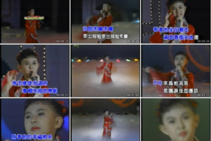 音乐专辑碟[小卓依婷 – 专辑2][KTV][DVDNRG][3.52G][百度网盘下载]